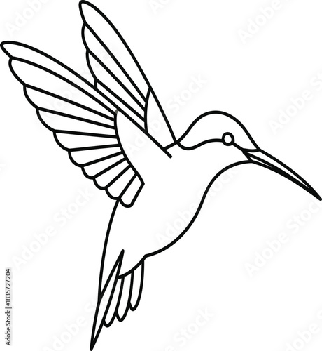 vector illustration of a flying bird