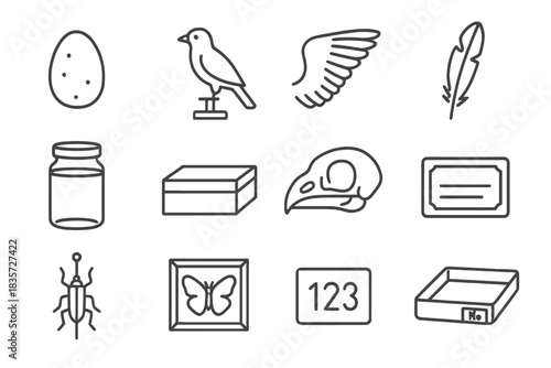 Preserved Specimen Icons. Line style icons of preserved specimens: bird egg, mounted bird, wing spread, feather sheet; glass jar,