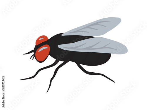 Black Blowfly Insect Animal Illustration
