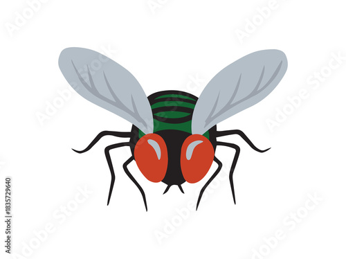 Green Blowfly Insect Animal Illustration

