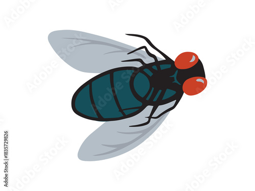 Blue Blowfly Insect Animal Illustration
