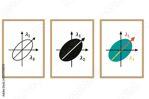 Mathematical Art Showcase. Gallery wall displaying mathematical artworks based on eigenvector shapes and axes, first in line style