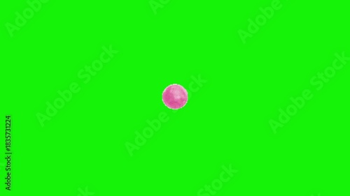Bubble gum animation