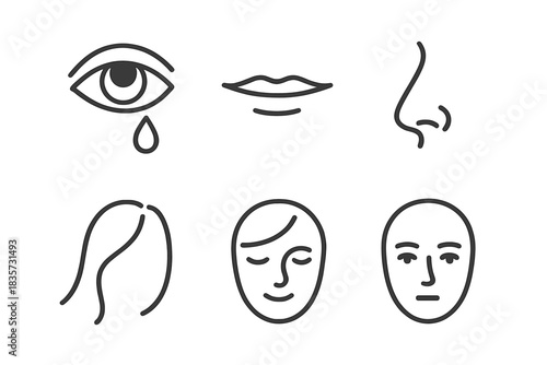 Quiet Emotion Icons. Line style icons of Quiet Emotions: teardrop eye, calm mouth, soft curve nose, loose hair line, faint smile,