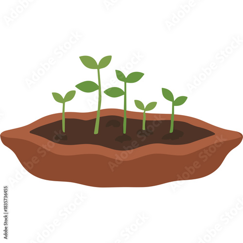 Close up of small green seedlings growing in dark brown soil within a reddish brown oval planter against a solid black background with no discernible defects or external elements promoting growth