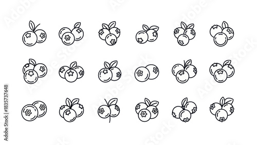 Collection of blueberry illustrations showcasing a variety of artistic outline styles