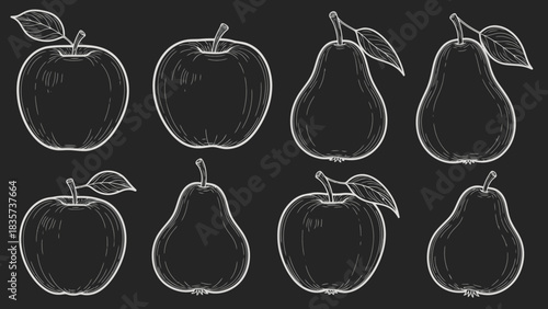 Vintage chalkboard style illustration showcasing hand drawn apples and pears collection