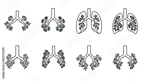 Illustrations of respiratory system, depicting varying levels of detail and abstraction of lung