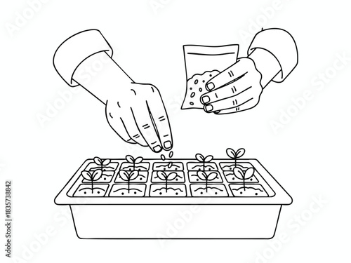 Gardener Fertilizing Seedlings in Tray