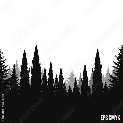 Monochromatic Forest: A Tranquil Silhouette Landscape of Evergreen Trees