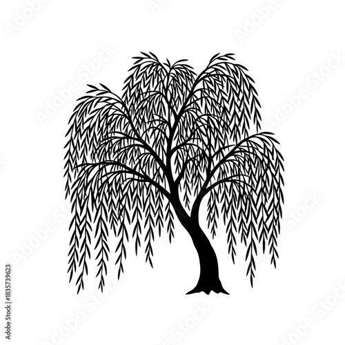Elegant Weeping Willow Silhouette Isolated on White Background Vector Art