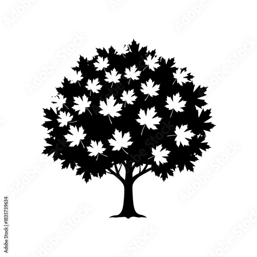 Minimalist depiction of a maple tree with distinctive leaves silhouette