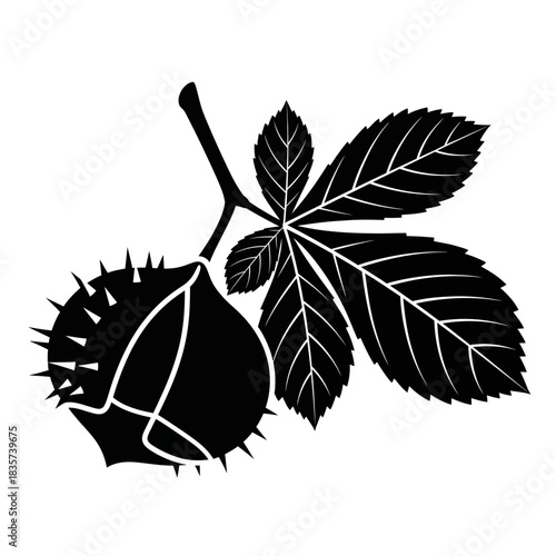 Monochrome Silhouette of Horse Chestnut with Leaf and Seed pod Illustration