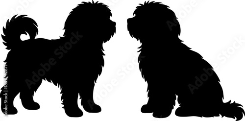 Black Havanese dog silhouette vector illustration isolated