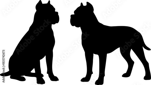 Black Cane Corso dog silhouette vector illustration isolated