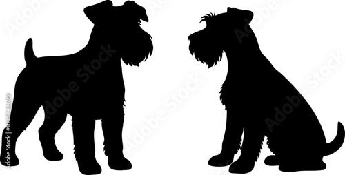 Black Miniature Schnauzer dog silhouette vector illustration isolated