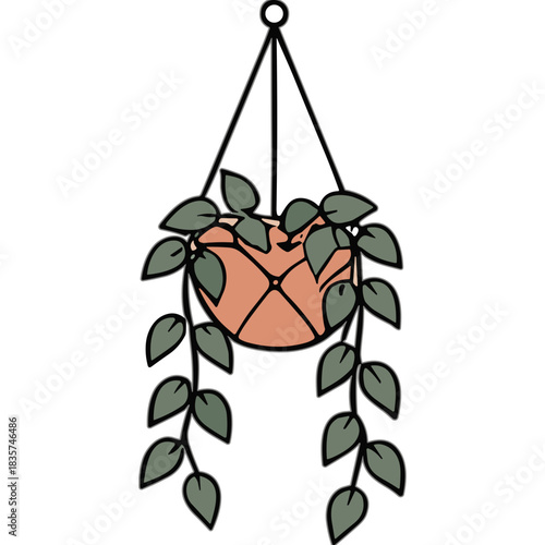 Hanging Pothos Plant in a Terracotta Pot with Macrame Hanger Isolated on Transparent Background Minimalist Vector Illustration
