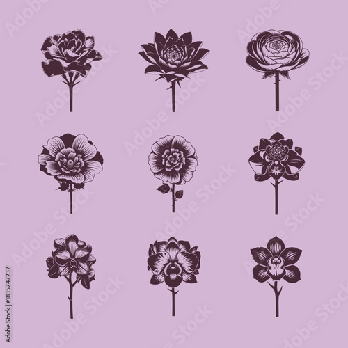 Set of nine hand drawn floral illustrations on lilac background