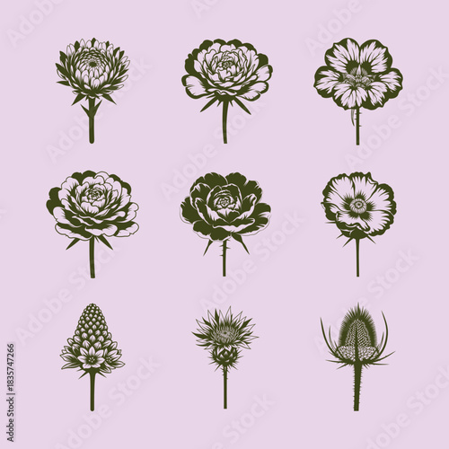 Botanical illustration of an assortment of flowers in a grid pattern