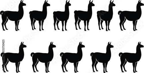 Llama silhouettes, black vector illustration, animal icons, side profile, repeated pattern, minimal design, farm creature, nature symbol, graphic art