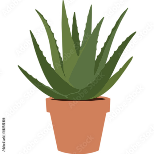 Green Aloe Vera Plant in Terracotta Pot Isolated on Black Background Simple Flat Illustration