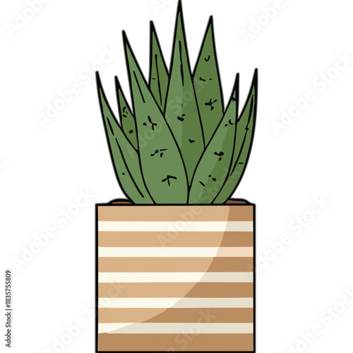 Green Aloe Vera Plant with Striped Pot on a Transparent Background Detailed Cartoon Illustration