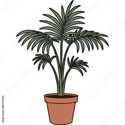 Green Areca Palm Plant in a Terracotta Pot with Dark Background Simple Illustration