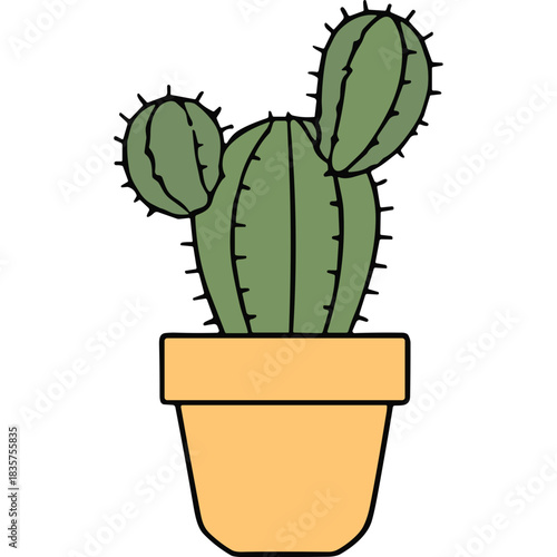 Green Barrel Cactus Plant in a Yellow Pot with Spikes and Green Leaves on a Black Background