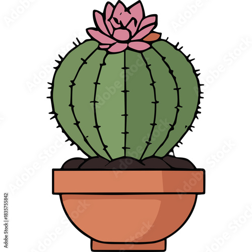 Green Barrel Cactus with Pink Flower in Terracotta Pot on Black Background Simple Flat Illustration Isolated on Black