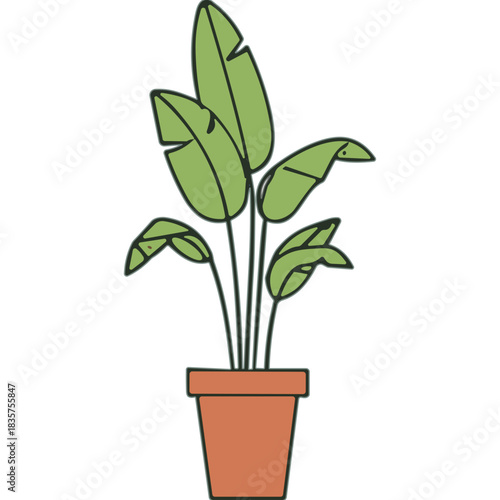 Green Bird Of Paradise Plant In A Terracotta Pot With Large Leaves And A Simple Artistic Style On A Transparent Background