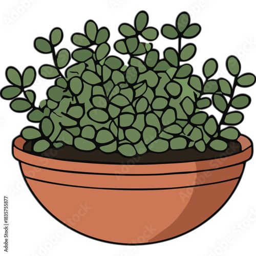 Green Bushy Plant in a Terracotta Pot with Dark Soil and Simple Outline on a Transparent Background