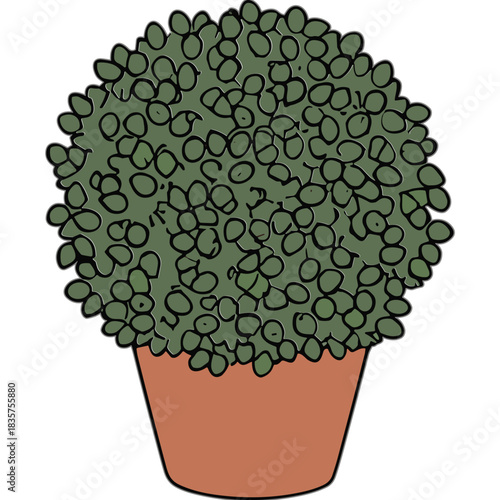 Green Bush In A Terracotta Pot On A Transparent Background Lush Foliage Outdoor Plant Or Indoor Decor With Simple Artistic Style