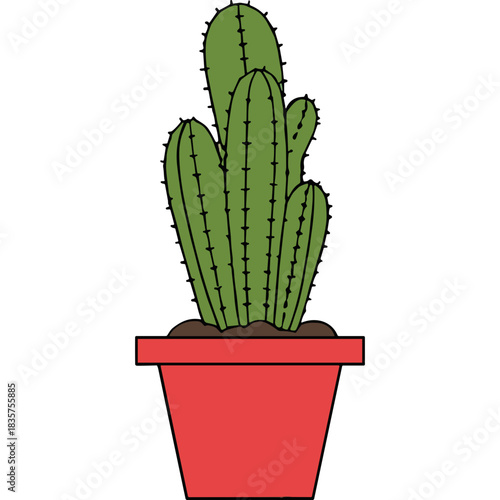 Green Cactus Plant in a Red Pot Isolated on Black Background Detailed Illustration of Desert Flora