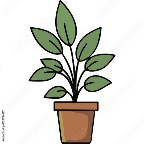 Green Houseplant in a Terracotta Pot Isolated on a Black Background with Simple Flat Design Style