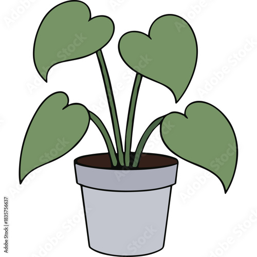 Green Houseplant In A Gray Pot With Dark Soil And Five Large Leaves On A Black Background Minimalist Illustration