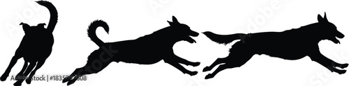 Dynamic running dog silhouettes in motion, energetic jumping and playful canine outlines for pet design, vector animal illustration set