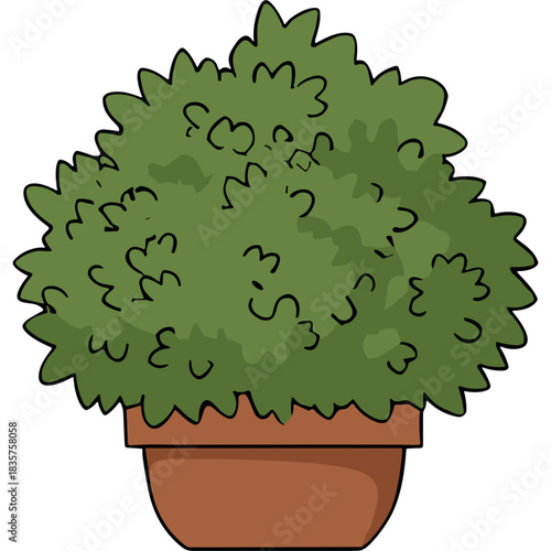 Green Lush Bush In A Terracotta Pot With Dark Outline And Natural Lighting On A Transparent Background