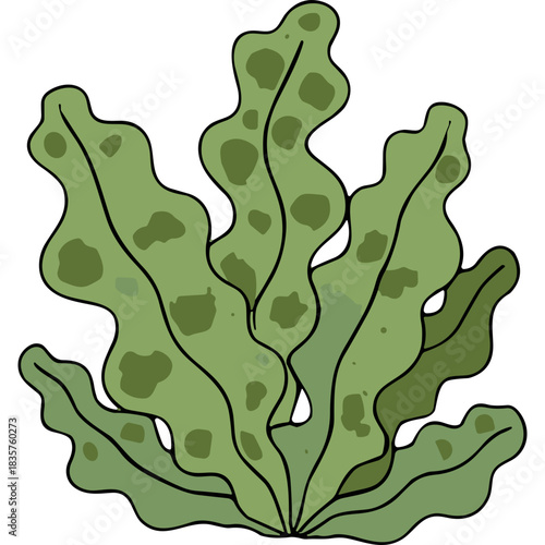 Green Seaweed Aquatic Plant With Wavy Fronds And Speckled Texture Against A Transparent Background In A Watercolor Style Illustration