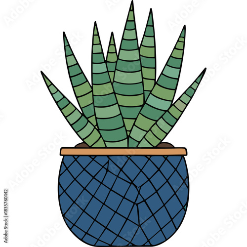 Green Succulent Plant in a Blue Textured Pot with Brown Soil and Ochre Rim Set Against a Black Background