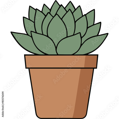 Green Succulent Plant in a Terracotta Pot Isolated on Black Background Simple Flat Illustration
