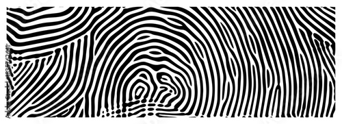 Abstract fingerprint texture background or topographic line pattern vector illustration