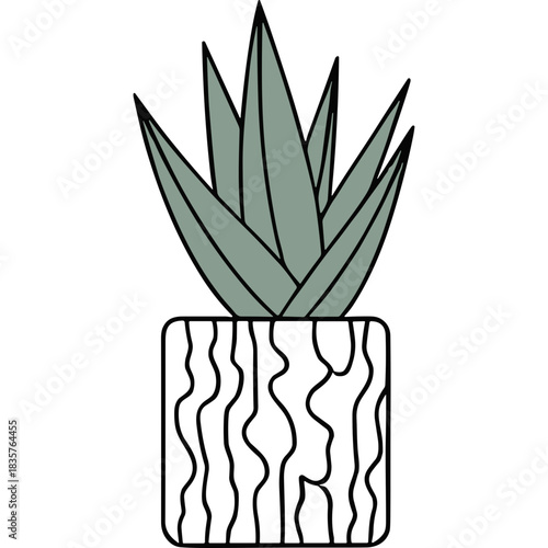Minimalist Potted Plant With Abstract Patterned Pot Against Black Background Simple Design Element For Home Decor And Illustration