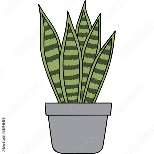 Illustration of a Snake Plant Sansevieria Trifasciata in a gray pot with green and dark green striped leaves against a black background representing a houseplant illustration