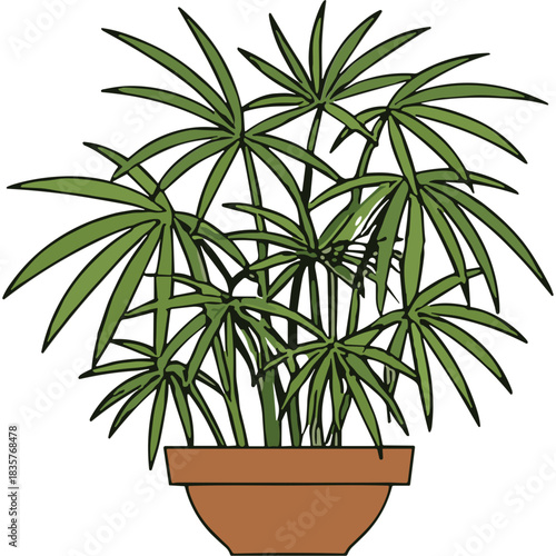 Illustration Of A Tall Green Papyrus Plant In A Terracotta Pot With A Black Background