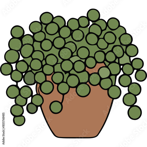 Illustration of a String of Pearls plant with green spherical leaves cascading from a brown terracotta pot against a black background flat design