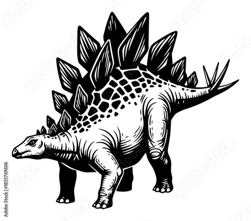 Stegosaurus dinosaur standing side view vintage vector sketch illustration