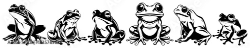 Set of cute frog toad amphibian animal sketches vector illustration