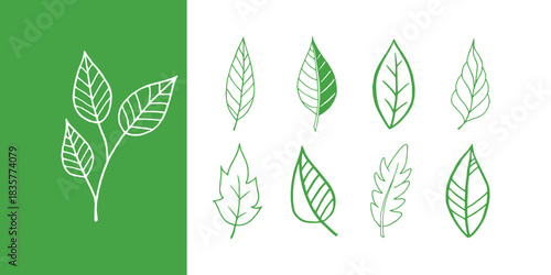 Set of tropical leaves isolated on a white background