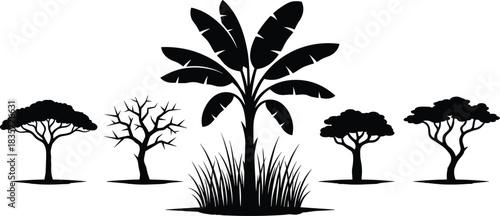 Banana tree silhouette, tropical vegetation, forest trees, nature diversity, ecosystem illustration, black foliage, seasonal contrast, botanical shapes, jungle plants, landscape art