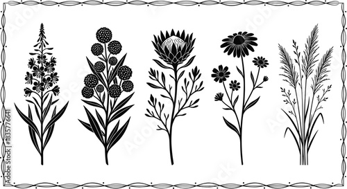 Botanical illustration, floral symmetry, decorative plants, monochrome blue, vintage style, ornamental border, nature art, elegant design, garden inspiration, botanical diversity